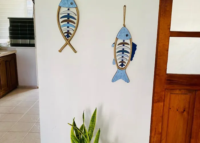 Aguacatl A 3 Cuadras Del Mar Pensión *